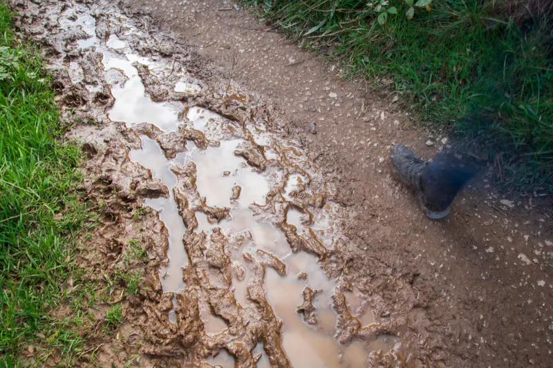 Muddy, Coast Path. 2020.
